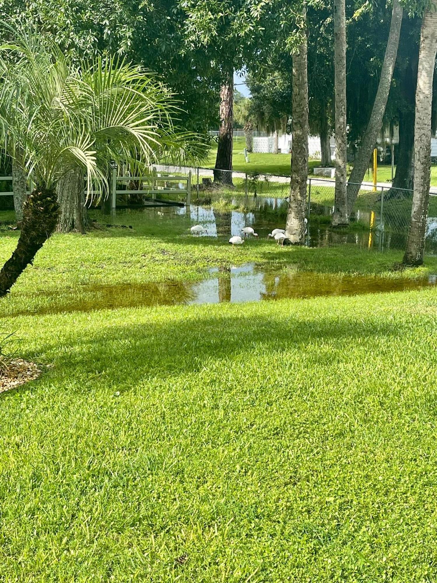 Sunny Oasis Getaway -Heated Pool-Mini Golf-Near Beach Nokomis Eksteriør billede